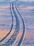 Snow Tracks_33724